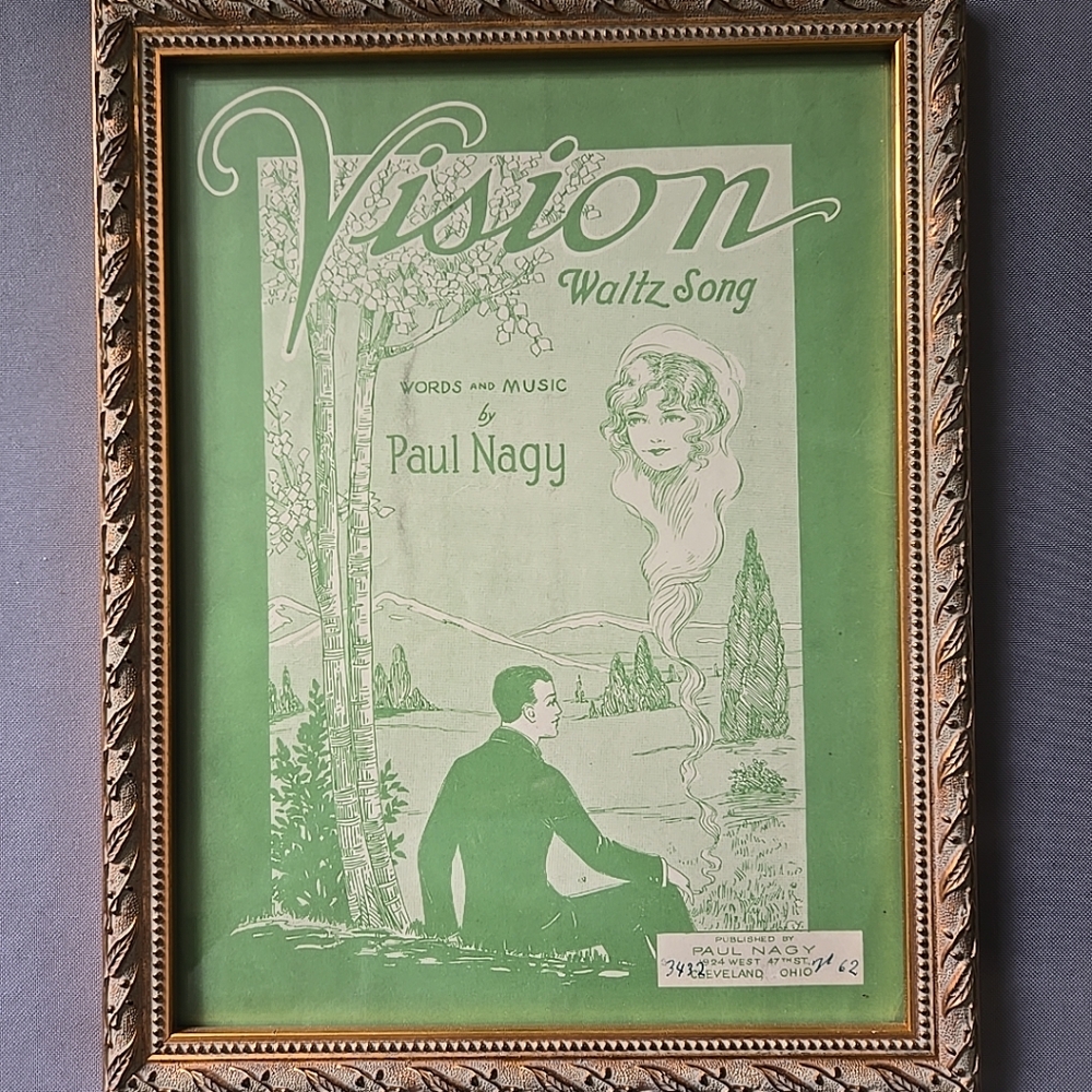 Vintage Vision Waltz Song Framed Print
